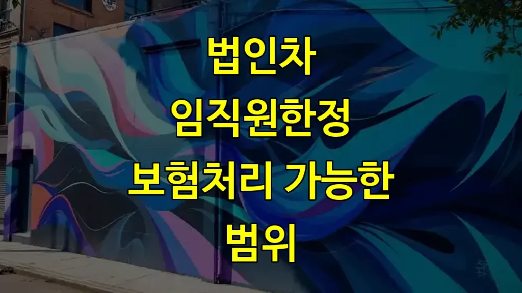법인차 임직원한정 보험처리 가능한 범위